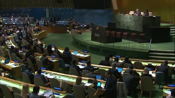 Fourth Committee, 24th meeting - General Assembly, 71st session