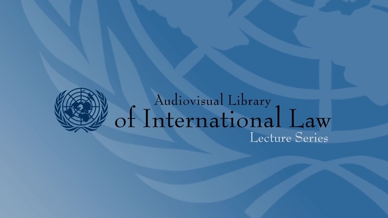 Xavier-Jean Keïta - The Rights of the Suspect and Accused under the Rome Statute of the International Criminal Court