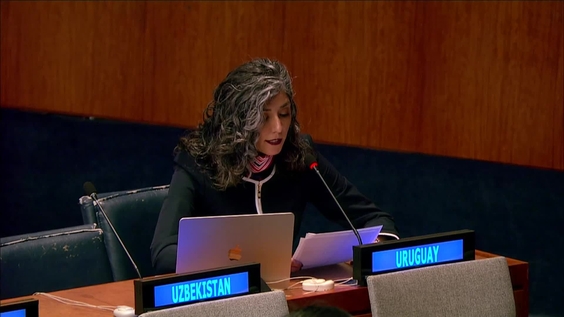 Fourth Committee, 19th plenary meeting - General Assembly, 80th session