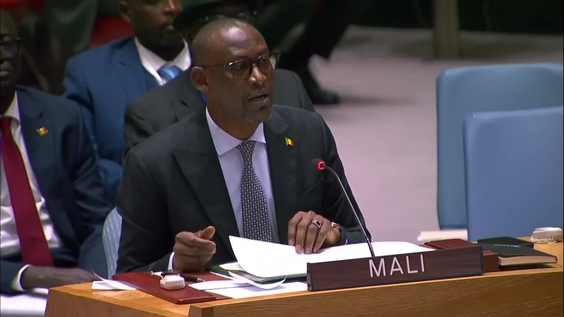 The situation in Mali - Security Council, 9251st meeting