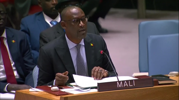 The situation in Mali - Security Council, 9251st meeting