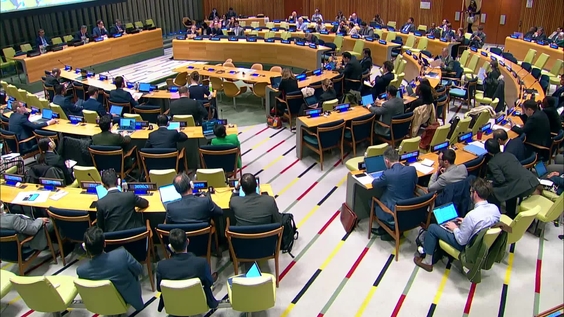 (Main Committee II) Review Conference of the Parties to the Treaty on the Non-Proliferation of Nuclear Weapons (NPT)