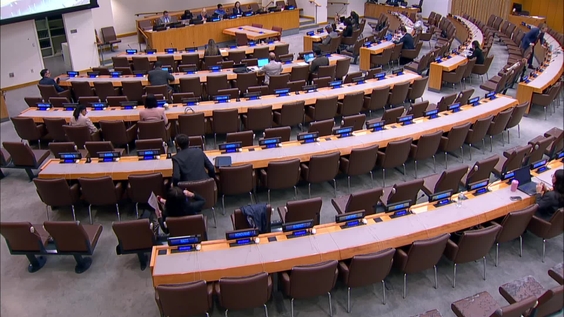 (8th Plenary meeting) Special Committee on Decolonization (C-24) - 2025 session