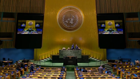 General Assembly: Tenth emergency special session (resumed), 46th plenary meeting