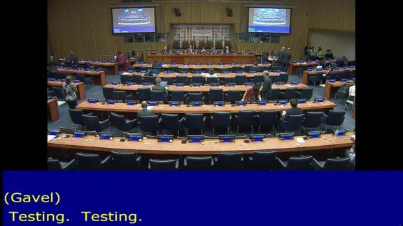 High-Level Political Forum on Sustainable Development - 10th Meeting