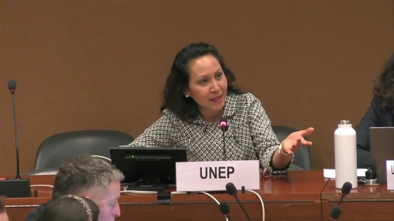 4th Meeting, 10th Joint OECD/UNECE Seminar on SEEA Implementation