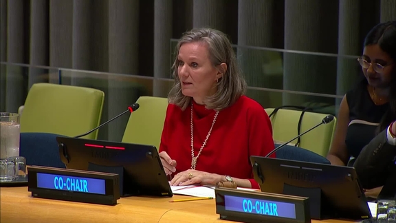 General Assembly: Reform of the Security Council - Informal meeting of the plenary, 80th session