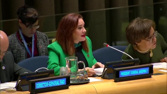  María Fernanda Espinosa (General Assembly President) at the Informal meeting of the plenary on the role of cities in the global agenda