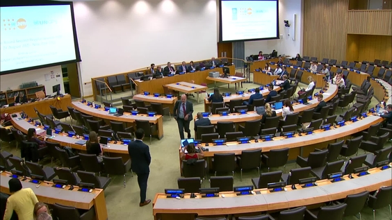 (4th meeting) Executive Board of UNDP, UNFPA and UNOPS (Second regular session 2025)