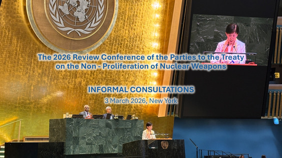 Informal Consultations