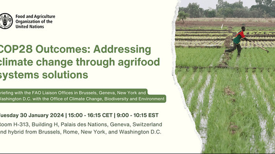 COP28 Outcomes: Addressing climate change through agrifood systems solutions
