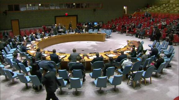 Small Arms - 8713th Security Council Meeting