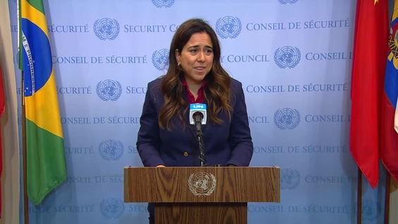 Lana Zaki Nusseibeh (UAE) on the situation in the Middle East, including the Palestinian question - Security Council Media Stakeout