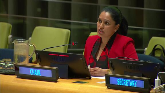 Sixth Committee, 8th plenary meeting - General Assembly, 81st session