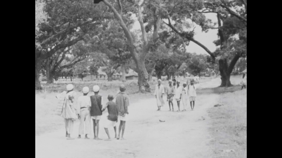 Africa: The Infant Giant