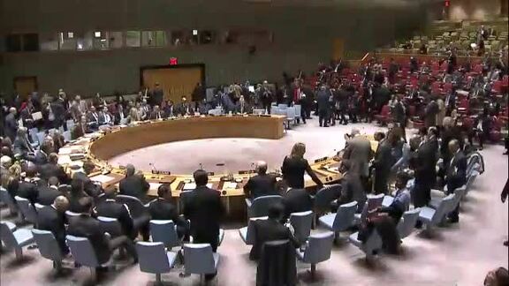 7802nd Security Council Meeting: Maintenance of International Peace and Security - Part 1
