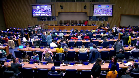 (3rd meeting) UN Permanent Forum on Indigenous Issues, 24th session