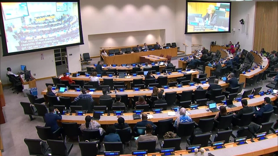 (4th meeting) 25th session of the Committee of Experts on Public Administration - Economic and Social Council