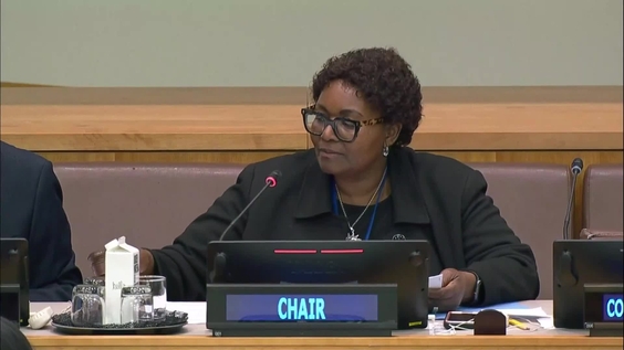 (2nd meeting) Committee on Non-Governmental Organizations, 2023 regular session, Economic and Social Council
