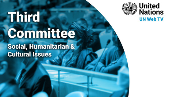 Third Committee, 13th meeting - General Assembly, 76th session