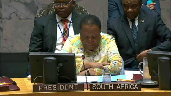 8648th Security Council Meeting: Situation in Middle East - Part 1