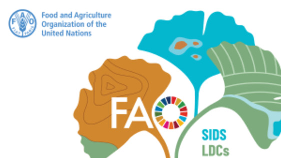 2025 High-Level Ministerial Special Event "From Vulnerability to Resilience - Strengthening Food Security and Better Life in Small Island Developing States, Least Developed Countries and Landlocked Developing Countries