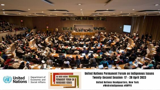 (8th meeting) Permanent Forum on Indigenous Issues, 22nd session