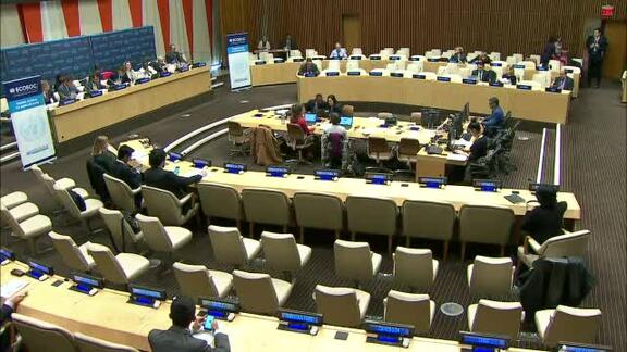 Economic and Social Council: 2017 Integration Segment, 25th Meeting