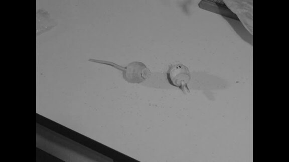 Office and Laboratory of Division of Narcotic Drugs