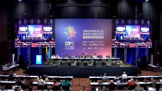 Nature and Culture Summit (2nd Meeting) – United Nations Biodiversity Conference 2024