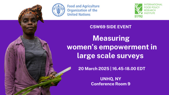 Measuring Women's Empowerment in Large Scale Surveys (CSW69 Side Event)