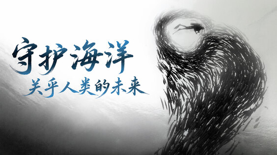 守护海洋，关乎人类的未来