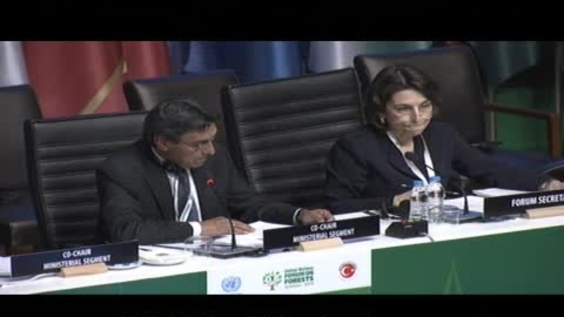 Gabon, UN Forum on Forests, 10th session