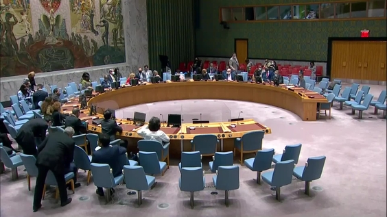 Haiti - Security Council, 8881st meeting