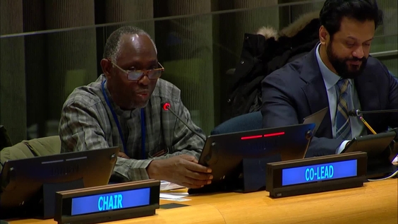 (5th meeting) Intergovernmental Negotiating Committee on the United Nations Framework Convention on International Tax Cooperation - Fourth Session