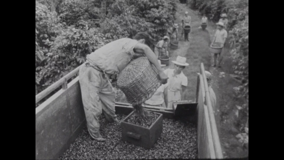 Central America: Much More than Bananas