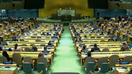 Sixth Committee, 31st meeting - General Assembly, 72nd session
