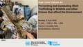 (Continued) Preventing and Combating Illicit Trafficking in Wildlife and other Crimes that Affect the Environment - High-level debate, General Assembly, 80th session