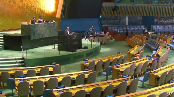 (Continued) Preventing and Combating Illicit Trafficking in Wildlife and other Crimes that Affect the Environment - High-level debate, General Assembly, 80th session