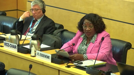 3152nd Meeting, 115th Session, Committee on the Elimination of Racial Discrimination (CERD)