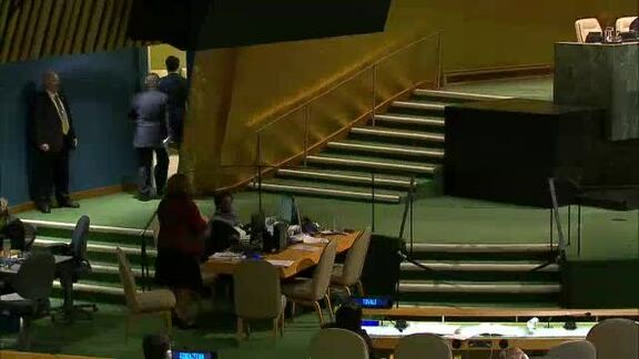 Minister for Foreign Affairs of Austria Addresses General Assembly