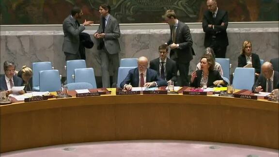 8117th Security Council Meeting: Situation in Middle East