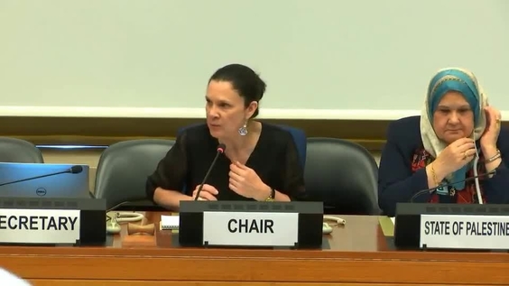 Consideration of The State of Palestine - 1614th Meeting 70th Session Committee on the Elimination of Discrimination Against Women 