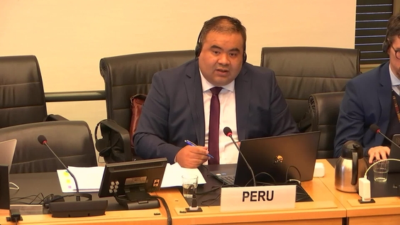 6th Meeting, 77th Session, Committee on Economic, Social and Cultural Rights (CESCR)