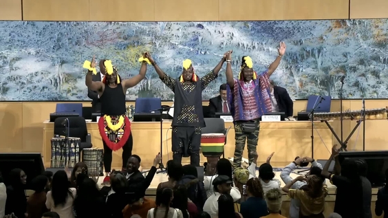 7th Meeting, 5th session of the Permanent Forum on People of African Descent