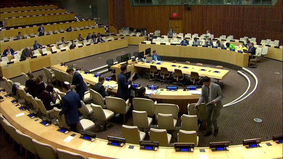 "UN Security Council Arria-formula meeting - Neo-nazism and radical nationalism: exploring root causes of the crisis in Ukraine"