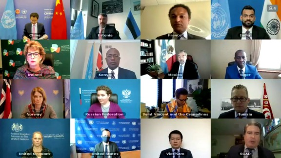 751 Committee (Somalia) - Security Council Open VTC