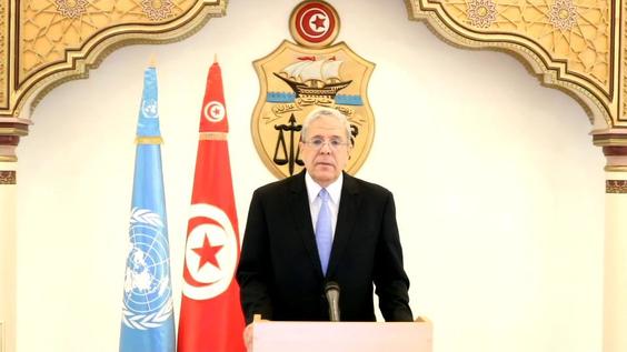 Túnez, Debate general, 75° período de sesiones