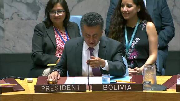 8366th Security Council Meeting: Reports of the Secretary-General on the Sudan and South Sudan