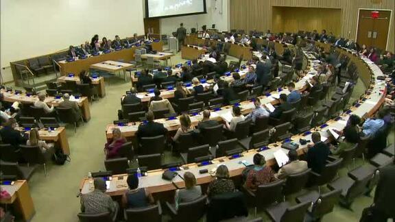 Wildlife Crime and New York Launch of World Wildlife Crime Report 